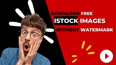 royalty free stock photos