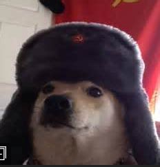 russian doggo