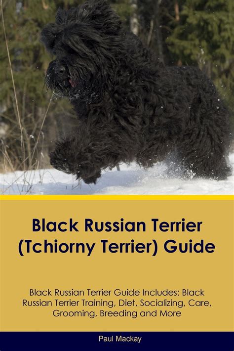 russian terrier training guide book Kindle Editon