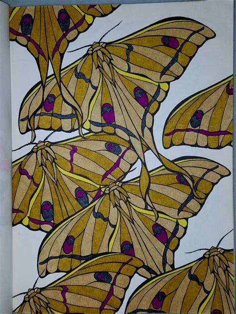 ruth hellers designs for coloring butterflies Doc