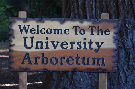 sacramento state university arboretum