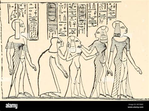 sacred beetle popular treatise egyptian Epub