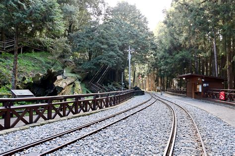 sacred tree station