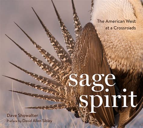sage spirit the american west at a crossroads Doc