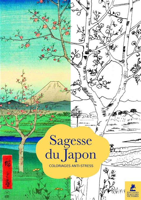 sagesse japon 70 coloriages anti stress PDF