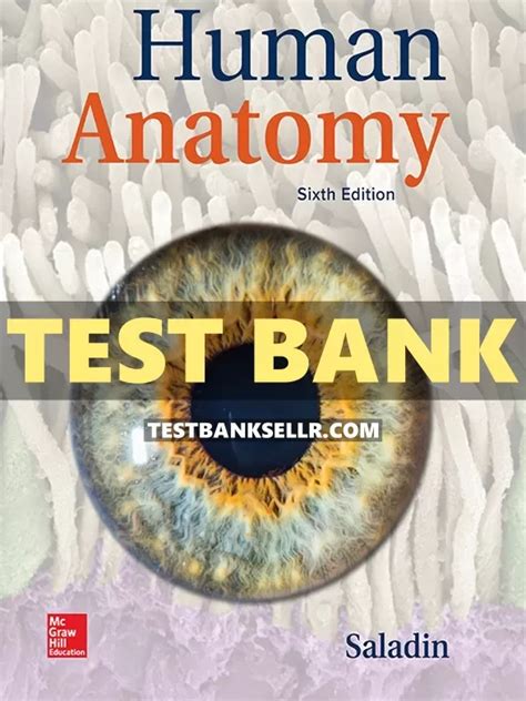 saladin aampp 6th edition Doc