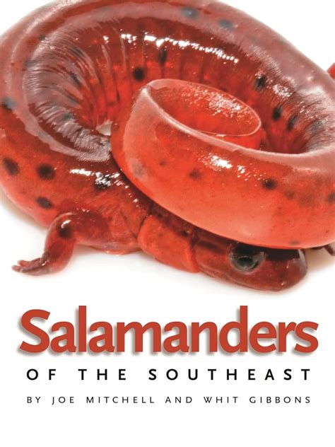 salamanders of the southeast wormsloe foundation nature book Reader