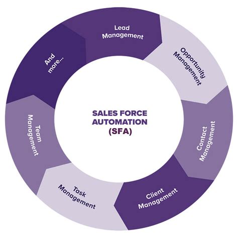 sales force automation definition Kindle Editon