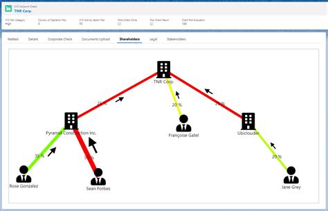 salesforce kyc aml