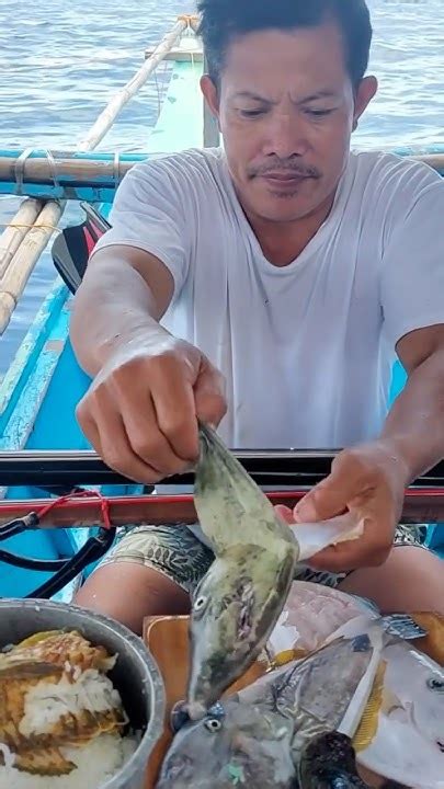 saltwater fish skin problems Reader