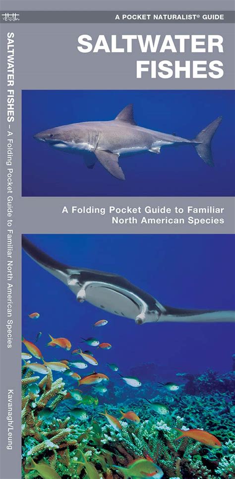 saltwater fishes a folding pocket guide to familiar north american species pocket naturalist guide series PDF