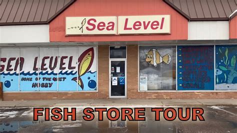 saltwater stores near me