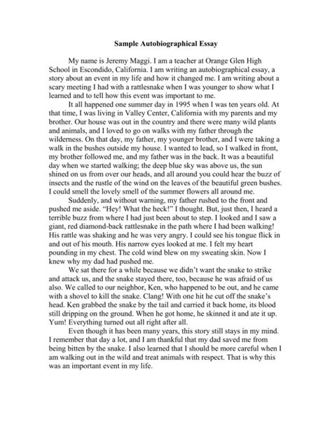 sample autobiographical essay for high school Epub