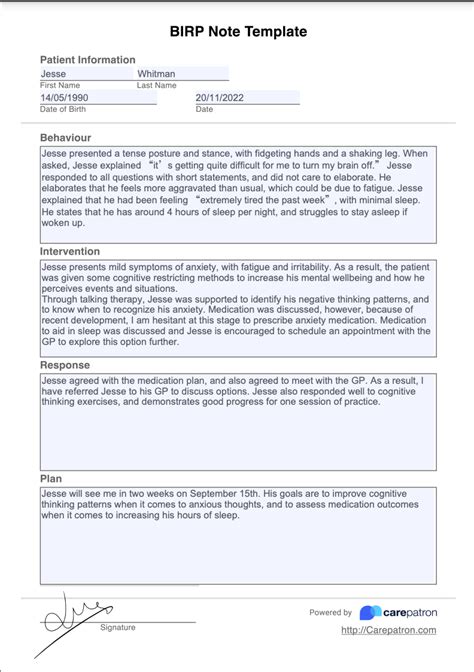 sample birp progress note Doc