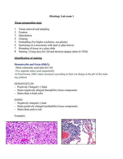 sample exam study guide on histology Reader