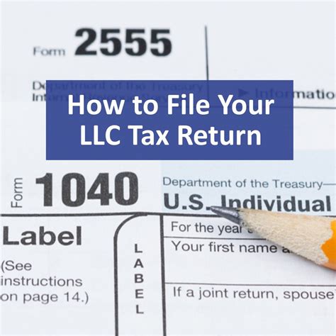 sample llc tax return Kindle Editon