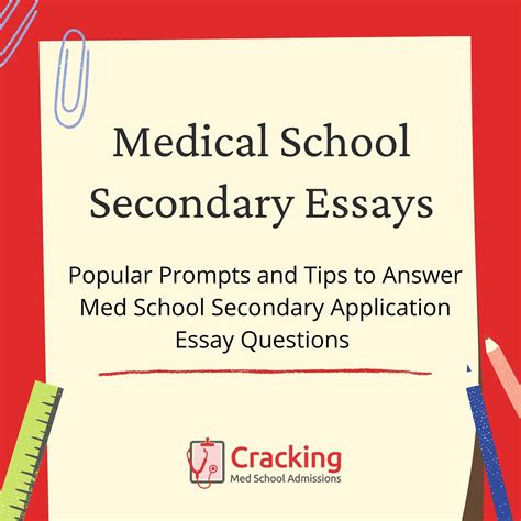 sample secondary medical school essays Reader