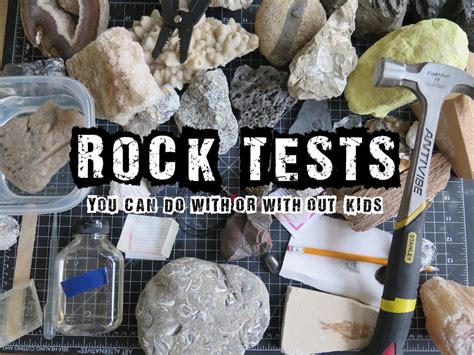 samples of peter rock assessment tests Epub