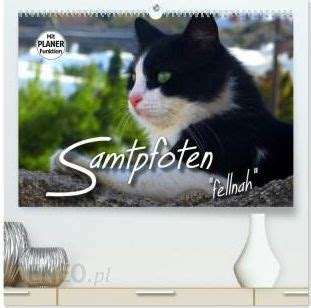 samtpfoten fellnah wandkalender 2016 quer PDF