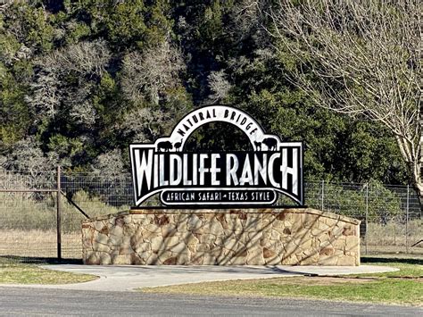 san antonio wildlife ranch