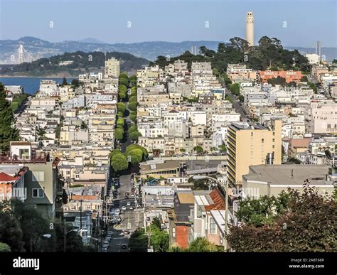 san franciscos north beach and telegraph hill images of america Doc