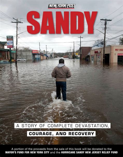 sandy a story of complete devastation courage and recovery PDF