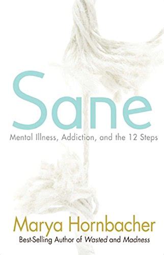 sane mental illness addiction and the 12 steps Kindle Editon
