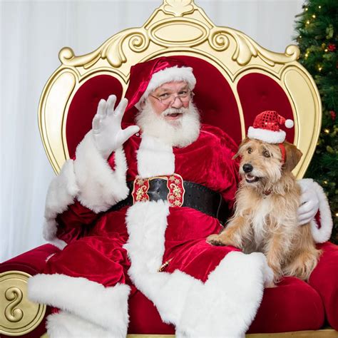 santa pet photography