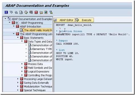 sap ag abap documentation Kindle Editon