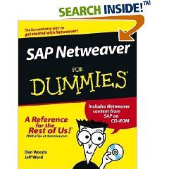 sap for dummies guide 2013 pdf Kindle Editon