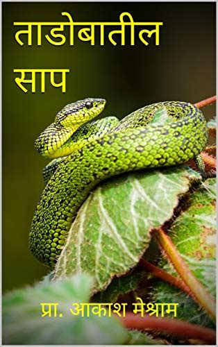 sap in marathi book downlode pdf Epub