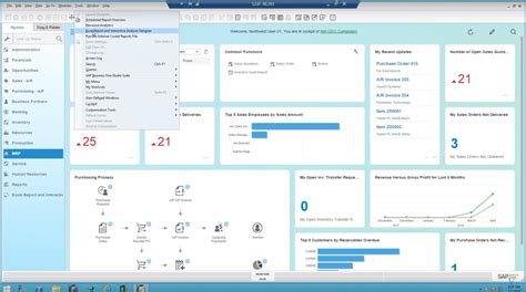 sap interactive excel user guide Kindle Editon