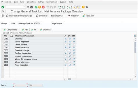 sap maintenance strategy definition Doc