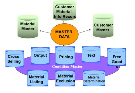 sap master data management manual Epub