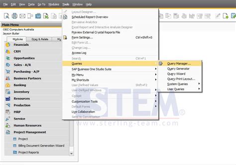 sap query manager user manual PDF