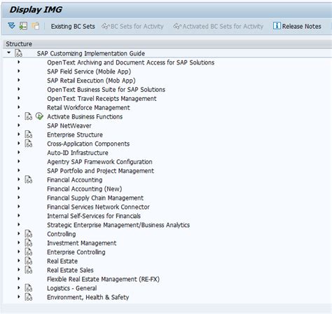 sap r 4 guide Reader