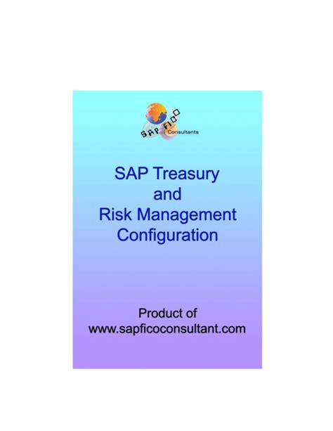 sap treasury risk management configuration manual PDF