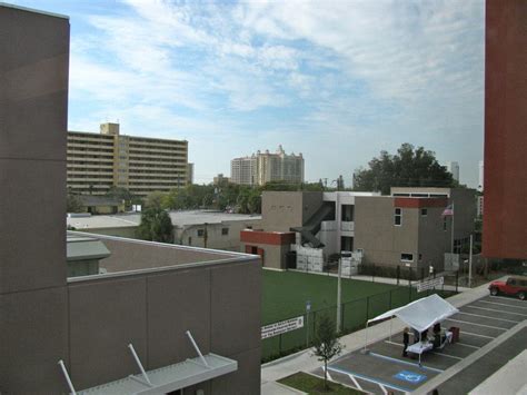 sarasota arts and sciences