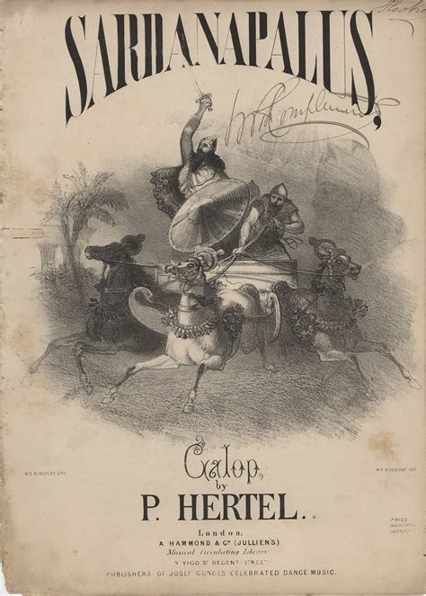 sardanapalus sardanapalus Doc