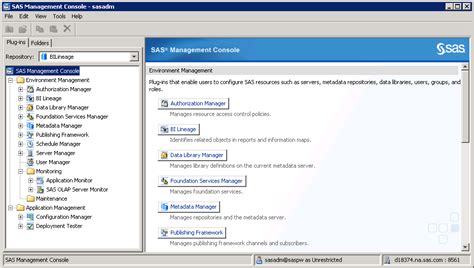 sas management console user guide PDF