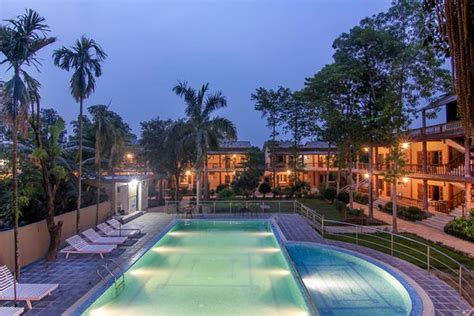 sauraha resort