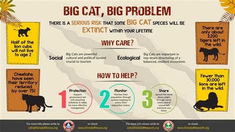saving big cats pdf download Kindle Editon