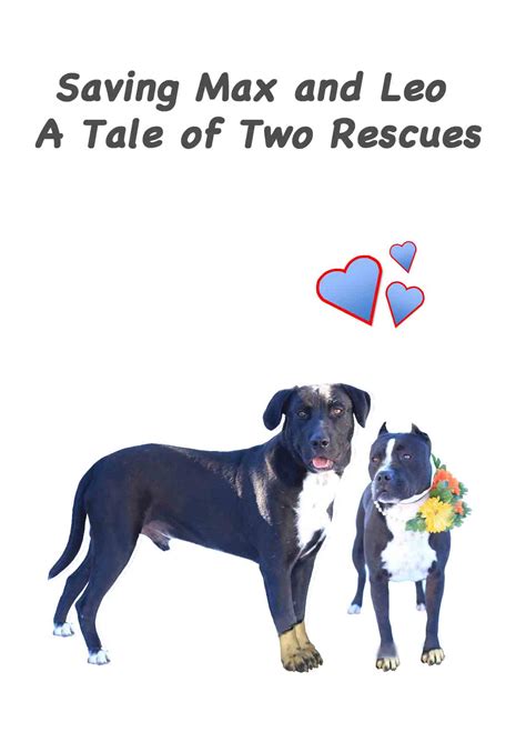 saving max and leo a tale of two rescues Kindle Editon