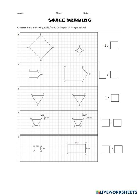 scale drawing worksheets 5th grade Kindle Editon