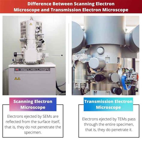 scanning transmission electron microscopy imaging and analysis PDF