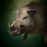 scared boar bg3