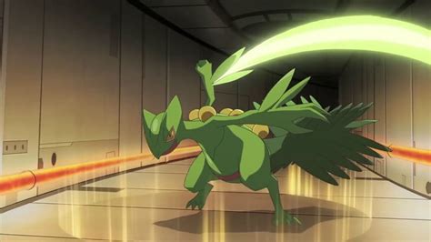 sceptile best moveset