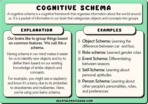 schemas and characteristics of Doc