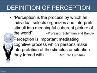 schiffman kanuk definition of perception Kindle Editon