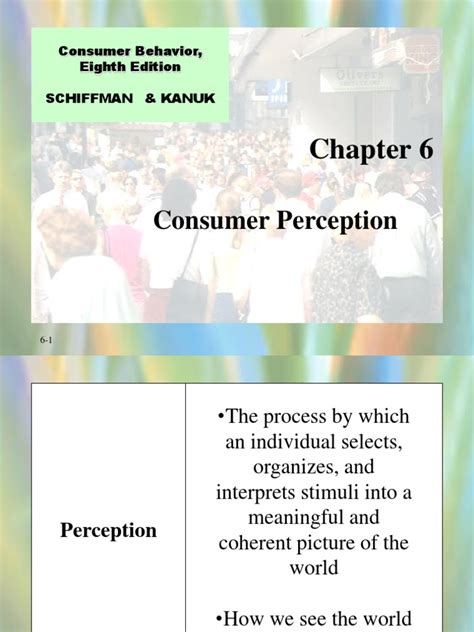 schiffman kanuk definition of perception Reader